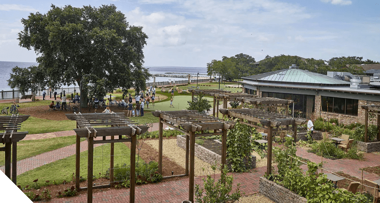 Long Term Performance